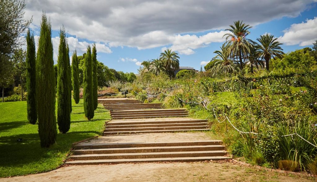 parc de cervantes en pedralbes