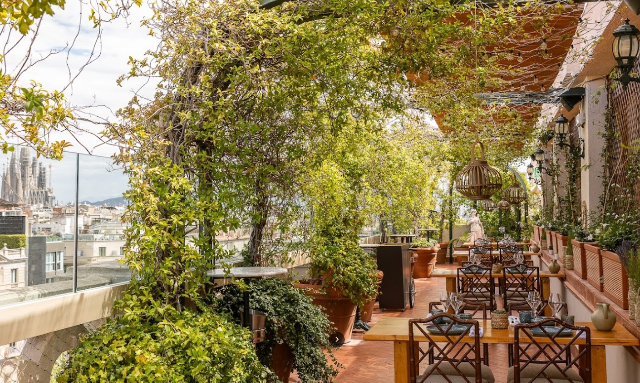 Rooftop Garden - El Palace